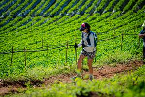 BIB: 
                            <button type="button" onclick="openModal(19162050)" class="btn btn-primary btn-sm float-right btn-popup" data-toggle="modal" data-target=".modal-high-quality">
                        <i class="fas fa-shopping-cart"></i> Add to Cart
                    </button>
                                            <button type="button" onclick="isThisMe(19162050, true)" class="btn btn-success btn-sm float-right btn-popup btn-isme hidden" data-toggle="tooltip" data-placement="bottom" title="นี่คือรูปของคุณใช่ไหม คลิกที่นี่เพื่อเอาเข้าอัลบั้ม">
                        <i class="fas fa-plus"></i> Add to album
                    </button>
                    <button type="button" onclick="isThisMe(19162050, false)" class="btn btn-warning btn-sm float-right btn-popup btn-isnotme hidden">
                        <i class="fas fa-ban"></i> Remove from album
                    </button>